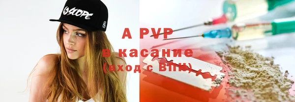 ECSTASY Богородск