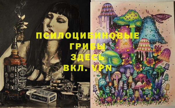 гидра Киренск