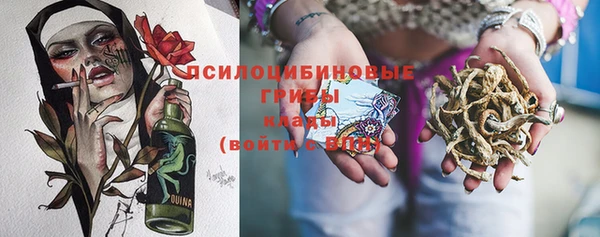 ECSTASY Богородск
