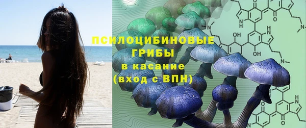 мяу мяу мука Богданович